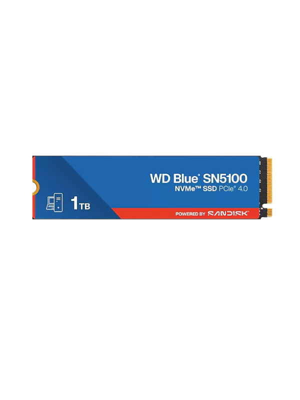 WDS100T5B0E-00CPE0
